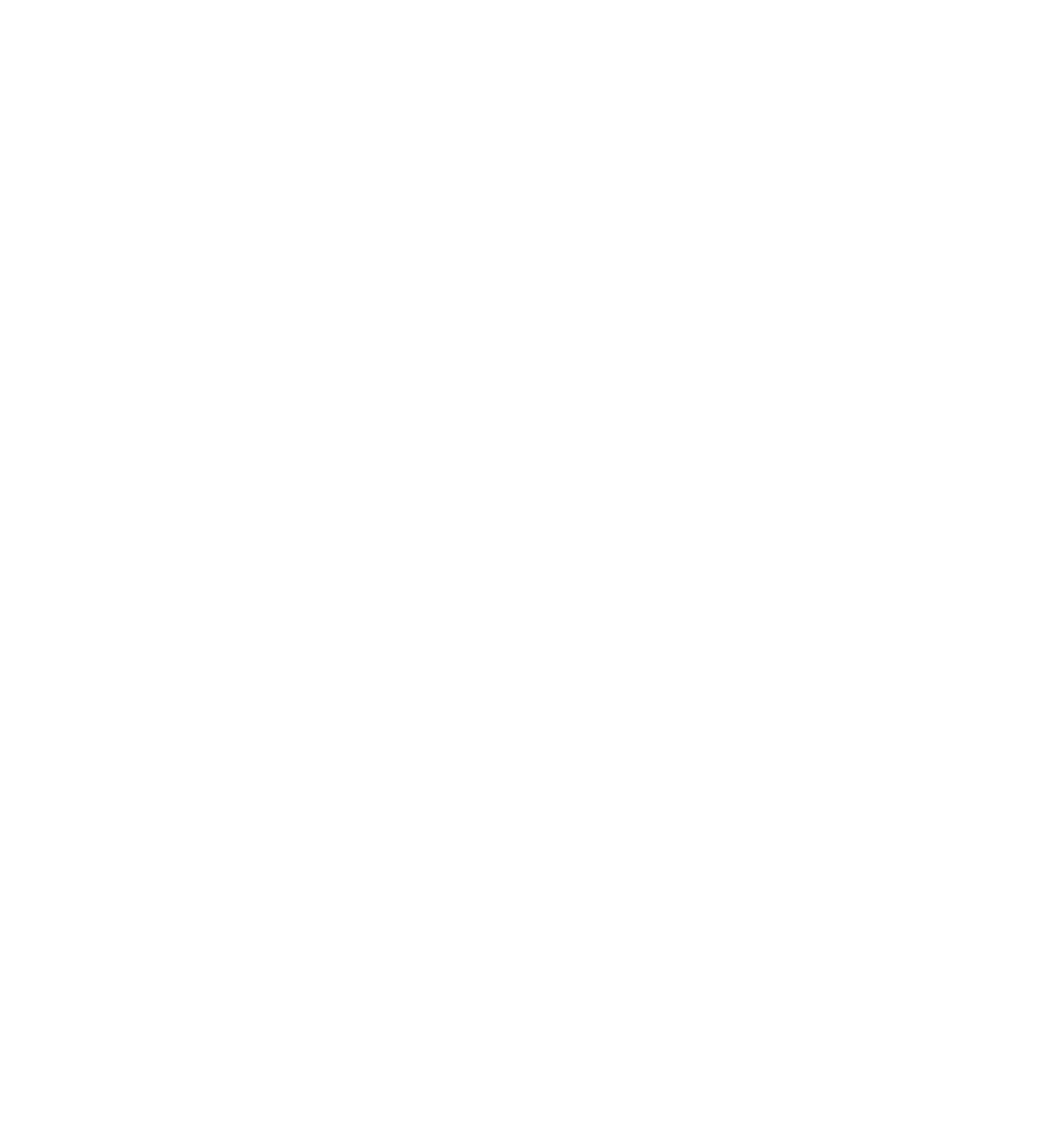 StateraArts