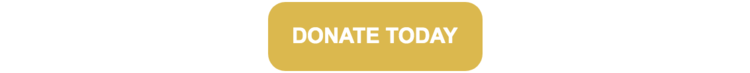 Screen+Shot+2019-07-14+at+7.30.15+PM.png